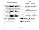 Fig. 04 - Methods of determining copy number of a genetic locus