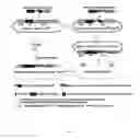 Fig. 05 - Methods of determining copy number of a genetic locus