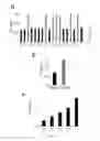 Fig. 11 - Methods of determining copy number of a genetic locus