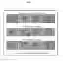 Fig. 05 - PRIMATE TOTIPOTENT AND PLURIPOTENT STEM CELLS PRODUCED BY SOMATIC CELL NUCLEAR TRANSFER