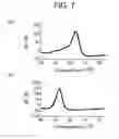Fig. 06 - METHOD FOR DETECTING CONTROLS FOR NUCLEIC ACID AMPLIFICATION AND USE THEREOF