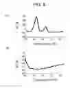 Fig. 07 - METHOD FOR DETECTING CONTROLS FOR NUCLEIC ACID AMPLIFICATION AND USE THEREOF