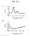 Fig. 09 - METHOD FOR DETECTING CONTROLS FOR NUCLEIC ACID AMPLIFICATION AND USE THEREOF