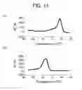 Fig. 10 - METHOD FOR DETECTING CONTROLS FOR NUCLEIC ACID AMPLIFICATION AND USE THEREOF