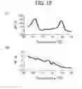 Fig. 11 - METHOD FOR DETECTING CONTROLS FOR NUCLEIC ACID AMPLIFICATION AND USE THEREOF