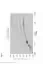 Fig. 07 - Method for Estimating Telomere Length