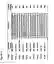 Fig. 08 - IDENTIFICATION OF GENES OR POLYPEPTIDES THE EXPRESSION OF WHICH CORRELATES TO FERTILITY, OVARIAN FUNCTION AND/OR FETAL/NEWBORN VIABILITY