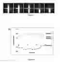 Fig. 08 - Microfluidic apparatus and method for DNA extraction, amplification and analysis