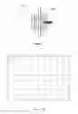 Fig. 13 - Microfluidic apparatus and method for DNA extraction, amplification and analysis