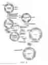 Fig. 04 - Screening method and vector, vector library, and assay kit used therefor