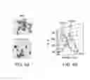 Fig. 05 - Cancer stem cell immortalization