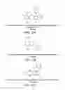 Fig. 14 - Cancer stem cell immortalization