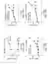 Fig. 17 - Cancer stem cell immortalization