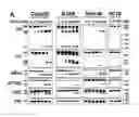 Fig. 01 - Methods and materials for observing apoptosis