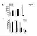 Fig. 08 - Methods and materials for observing apoptosis