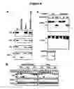Fig. 11 - Methods and materials for observing apoptosis