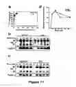 Fig. 14 - Methods and materials for observing apoptosis