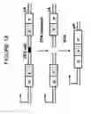 Fig. 02 - Rapid screening of biologically active nucleases and isolation of nuclease-modified cells