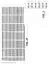 Fig. 05 - MN Gene and Protein