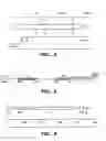 Fig. 11 - MN Gene and Protein