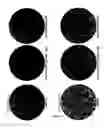Fig. 17 - Antibody-secreting cell assay