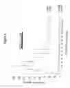 Fig. 05 - METHOD FOR THE EARLY DETECTION OF RENAL INJURY