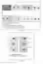 Fig. 02 - REAGENTS, METHODS AND KITS FOR THE UNIVERSAL RAPID IMMUNO-DETECTION
