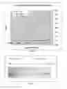 Fig. 03 - REAGENTS, METHODS AND KITS FOR THE UNIVERSAL RAPID IMMUNO-DETECTION