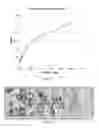 Fig. 05 - REAGENTS, METHODS AND KITS FOR THE UNIVERSAL RAPID IMMUNO-DETECTION