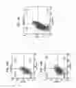 Fig. 17 - CANCER STEM CELLS