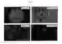 Fig. 02 - HORMONE RESPONSIVE TISSUE CULTURE SYSTEM AND USES THEREOF
