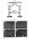 Fig. 06 - HORMONE RESPONSIVE TISSUE CULTURE SYSTEM AND USES THEREOF