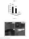 Fig. 08 - HORMONE RESPONSIVE TISSUE CULTURE SYSTEM AND USES THEREOF