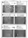 Fig. 19 - HORMONE RESPONSIVE TISSUE CULTURE SYSTEM AND USES THEREOF