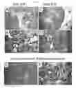 Fig. 22 - HORMONE RESPONSIVE TISSUE CULTURE SYSTEM AND USES THEREOF