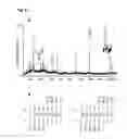 Fig. 05 - Use of neuregulin-β as an indicator and/or target