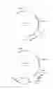 Fig. 02 - METHOD OF PREPARING PROTEIN HAVING HIGH CONTENT OF SPECIFIC AMINO ACID BY CO-EXPRESSION WITH TRNA OF SPECIFIC AMINO ACID