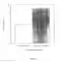 Fig. 05 - SYSTEM FOR ANTIBODY EXPRESSION AND ASSEMBLY