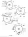 Fig. 15 - Compositions and methods for bacterial production of chondroitin
