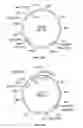 Fig. 25 - Compositions and methods for bacterial production of chondroitin