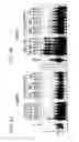 Fig. 08 - Modified RNA ligase for efficient 3′ modification of RNA