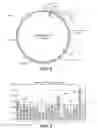 Fig. 06 - Alpha-amylase blends and methods for using said blends