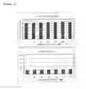 Fig. 14 - Method for producing β-glucanase and xylanase, and liquid culture medium