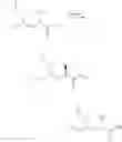 Fig. 19 - SYNTHESIS ROUTES TO 2(S),4(S),5(S),7(S)-2,7-DIALKYL-4-HYDROXY-5-AMINO-8-ARYL-OCTANOYL AMIDES
