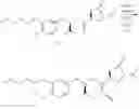Fig. 30 - SYNTHESIS ROUTES TO 2(S),4(S),5(S),7(S)-2,7-DIALKYL-4-HYDROXY-5-AMINO-8-ARYL-OCTANOYL AMIDES