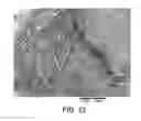 Fig. 09 - Fibrous materials and composites