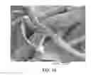 Fig. 10 - Fibrous materials and composites