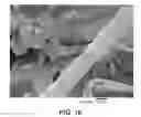 Fig. 12 - Fibrous materials and composites