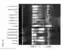 Fig. 15 - Bioaugmentation of anaerobic digester systems