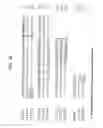 Fig. 06 - Internalizing Anti-CD74 Antibodies and Methods of Use